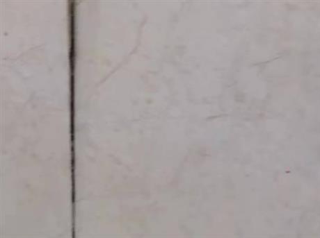 洛陽專業(yè)維修墻磚地磚